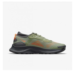 кросівки NIKE PEGASUS TRAIL DO6728-300