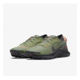 кросівки NIKE PEGASUS TRAIL DO6728-300_image_4