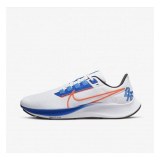 Кросівки чоловічі Nike Air Zoom Pegasus 38 DQ8575-100_image_2