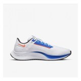 Кросівки чоловічі Nike Air Zoom Pegasus 38 DQ8575-100_image_1