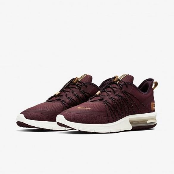 Кросівки для бігу Nike WMNS AIR MAX SEQUENT 4 UTILITY AV5356-600_image_3