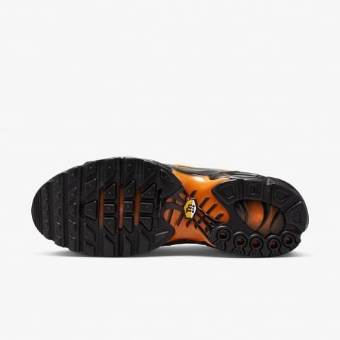 Чоловічі кросівки Nike Air Max Plus FB3358-001_image_5