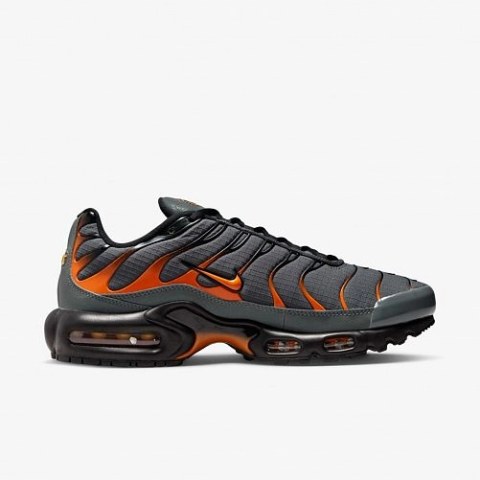 Чоловічі кросівки Nike Air Max Plus FB3358-001_image_1