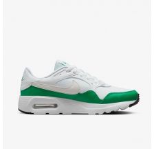 Чоловічі кросівки Nike Air Max SC CW4555-110