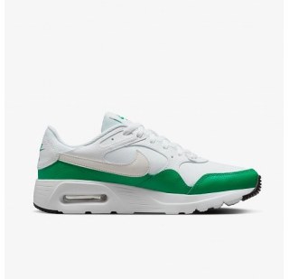 Чоловічі кросівки Nike Air Max SC CW4555-110