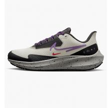 Кросівки Nike Air Zoom Pegasus 39 Shield Do7626-003