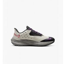 Кросівки Nike Air Zoom Pegasus 39 Shield Do7626-003