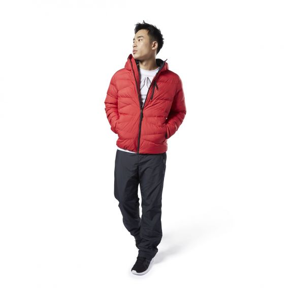 Мужской пуховик Reebok Outerwear Synthetic DX2420_image_3