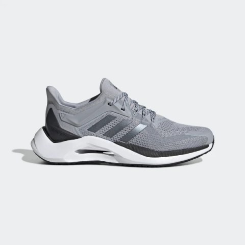 Чоловічі кросівки Adidas AlphaTorsion 2.0 GY0594_image_1