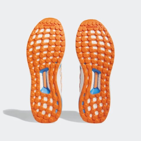 Кросівки Adidas Ultraboost 1.0 HR0080_image_9
