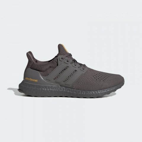 Кросівки Adidas Ultraboost 1.0 ID5886_image_1