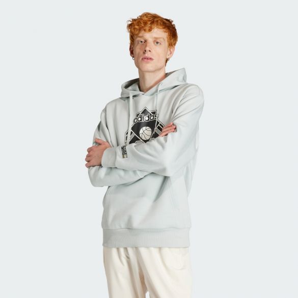 Худи Adidas Graphic IV9691_image_1