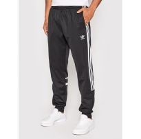 Чоловічі штани Adidas Adicolor HK7429_image_1