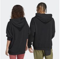 Худи Adidas Terrex Large Logo HT2113_image_5