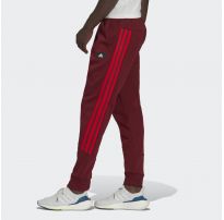 Спортивні штани Adidas M FI 3S Pant Sportswear HC5262_image_8