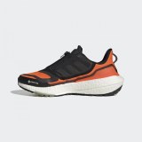 Кроссовки Adidas Ultraboost Gore-Tex GX9126_image_2