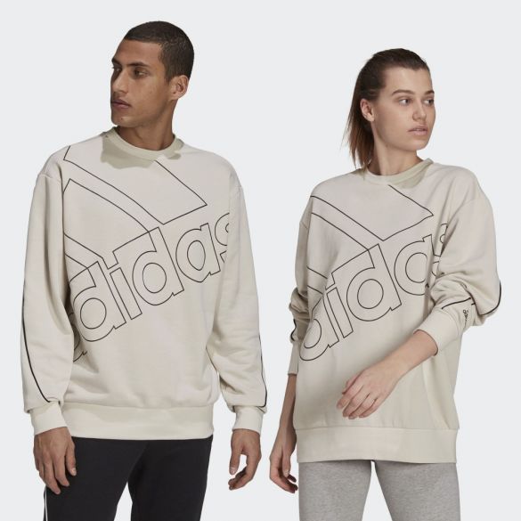 Толстовка чоловіча Adidas Giant Logo GK9373_image_1