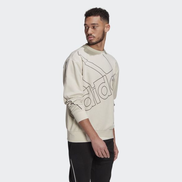 Толстовка чоловіча Adidas Giant Logo GK9373_image_4