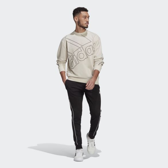 Толстовка чоловіча Adidas Giant Logo GK9373_image_5