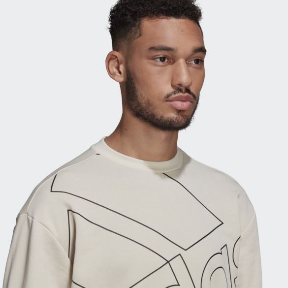 Толстовка чоловіча Adidas Giant Logo GK9373_image_3