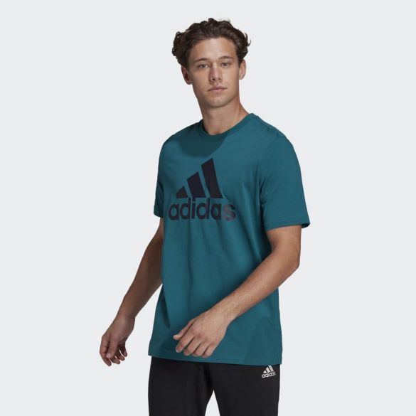 Футболка мужская Adidas Essentials Big Logo HE1844_image_1