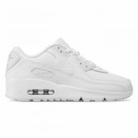 Детские Кроссовки Nike Air Max 90 LTR Older CD6864-100