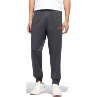 Чоловічі брюки Adidas Essentials FM3446