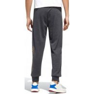 Чоловічі брюки Adidas Essentials FM3446