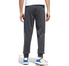 Чоловічі брюки Adidas Essentials FM3446