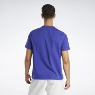 Чоловічі футболки Reebok HN5802