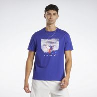 Чоловічі футболки Reebok HN5802