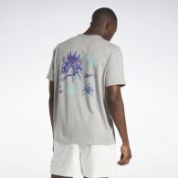 Футболка Reebok Basketball Court Top T-Shirt Grey IA2419