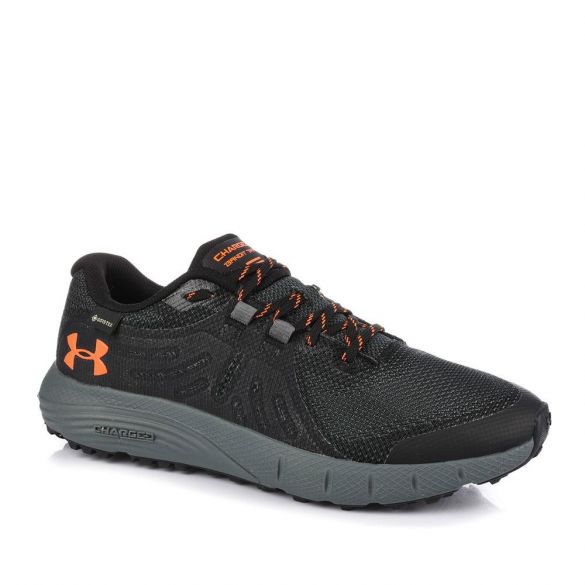 Мужские кроссовки Under Armour Charged Bandit Trail GTX 3022784-006_image_3