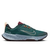 Чоловічі кросівки Nike Juniper Trail 2 GTX FB2067-300_image_1