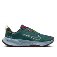 Мужские кроссовки Nike Juniper Trail 2 GTX FB2067-300