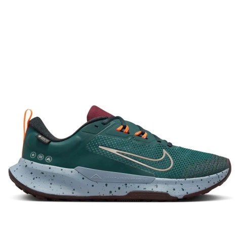 Чоловічі кросівки Nike Juniper Trail 2 GTX FB2067-300_image_1