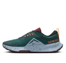 Чоловічі кросівки Nike Juniper Trail 2 GTX FB2067-300
