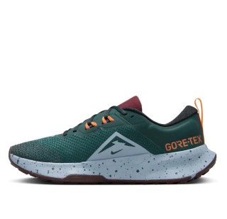 Чоловічі кросівки Nike Juniper Trail 2 GTX FB2067-300