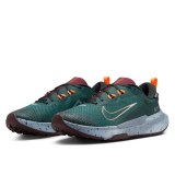 Чоловічі кросівки Nike Juniper Trail 2 GTX FB2067-300_image_5