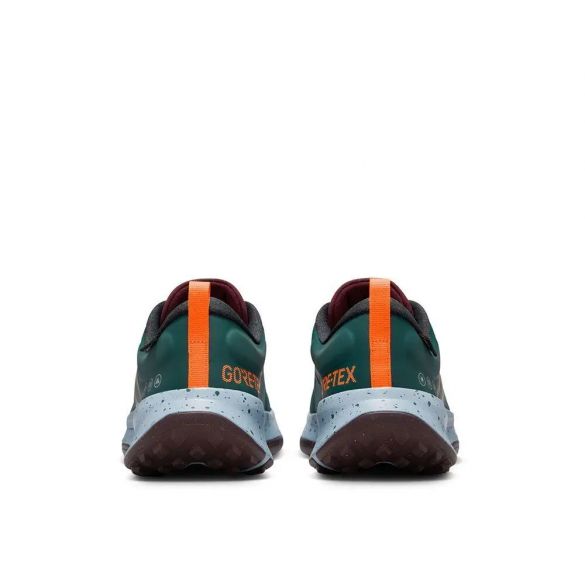 Чоловічі кросівки Nike Juniper Trail 2 GTX FB2067-300_image_4