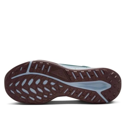 Чоловічі кросівки Nike Juniper Trail 2 GTX FB2067-300_image_3