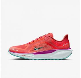 Чоловічі кросівки Nike Pegasus 41 Gore Tex HM8872-600