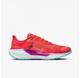 Чоловічі кросівки Nike Pegasus 41 Gore Tex HM8872-600
