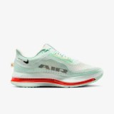 Кросівки чоловічі Nike Pegasus Premium HQ2592-301_image_1