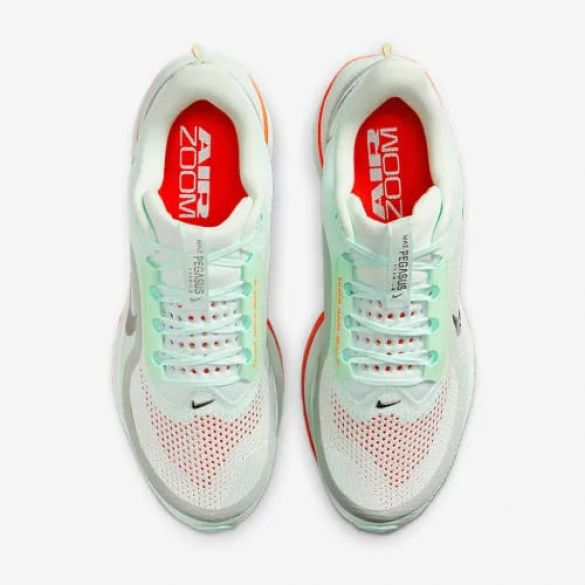 Кросівки чоловічі Nike Pegasus Premium HQ2592-301_image_8