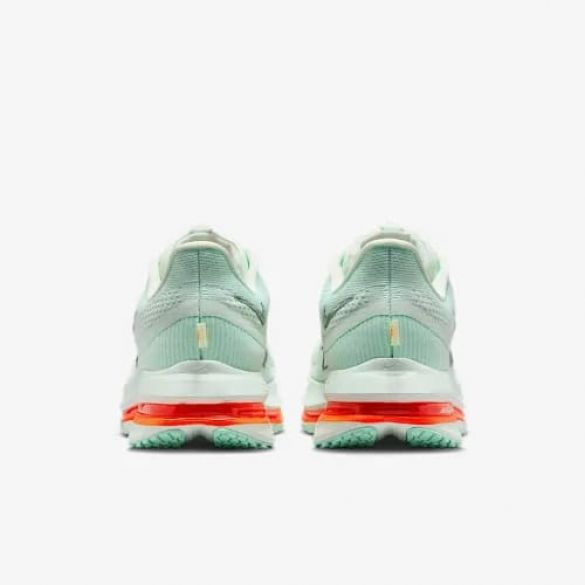 Кросівки чоловічі Nike Pegasus Premium HQ2592-301_image_4