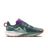 Кросівки Nike Pegasus Trail 5 DV3864-401_image_1