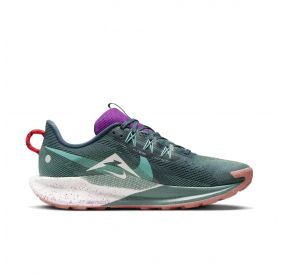 Кросівки Nike Pegasus Trail 5 DV3864-401