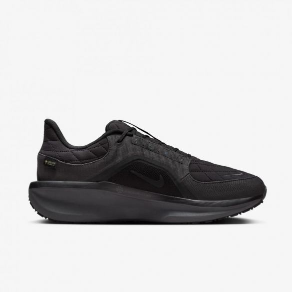 Мужские кроссовки Nike Air Winflo 11 Gore-Tex FQ1358-001_image_1
