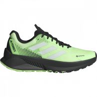 Мужские кроссовки Adidas Terrex Soulstride Gore-Tex IG8028